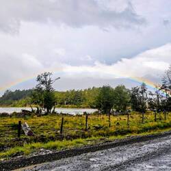 Regenbogen als Belohnung