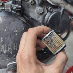 Oil change at Elite Bikes. Not an expert, but that doesn't look great on Kismet's filter...