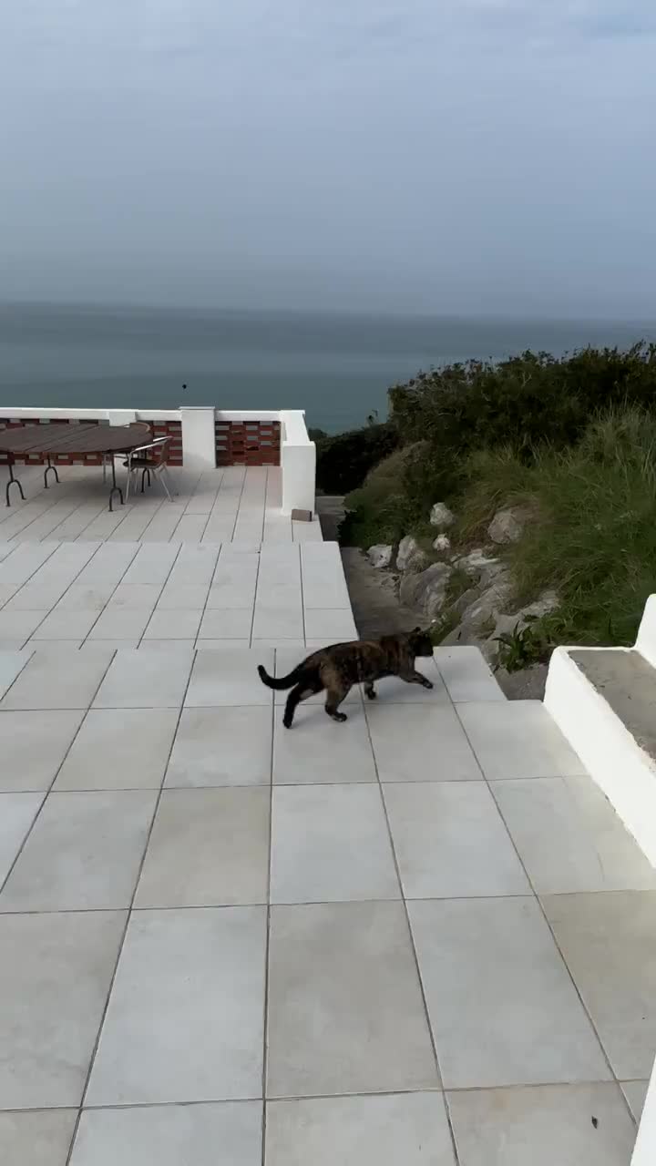 Birdie entdeckt schon ihr neues Terrain