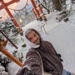 Schneefall wird stärker