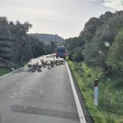 Begegnungen unterwegs...