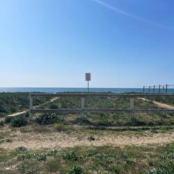 Paestum liegt nicht weit vom Meer entfernt