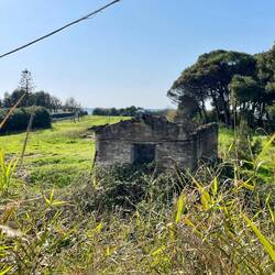 Doch das Meer sehe ich meist nur aus Entfernung