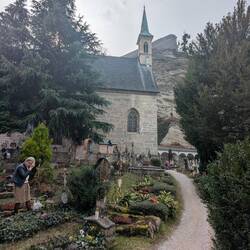 St. Peter's cemetery - caretaking one of the plots in the shadow of the fortress.