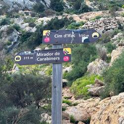 hier teilt sich der Weg