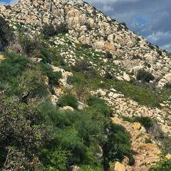 noch ein gutes Stück