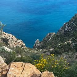 Blick zum Meer hinunter