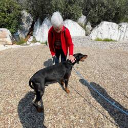 ..diese Dame hat eigentlich große Angst vor großen Hunden,aber ein wenig Therapie schadet nie.. 🐾❤️