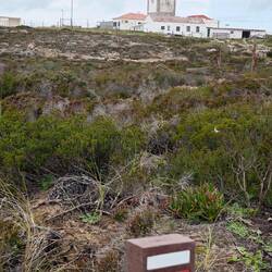 Det E9 ist toll markiert!