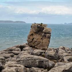 Blick auf die Berlenga Inseln