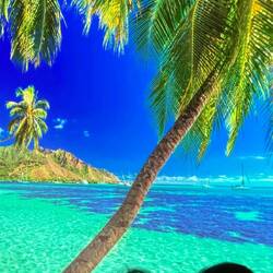 PARADISE!