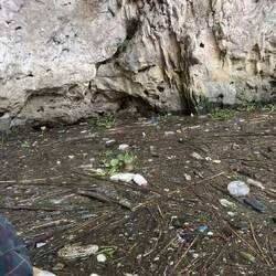 And on the right you can see some lovely shit...