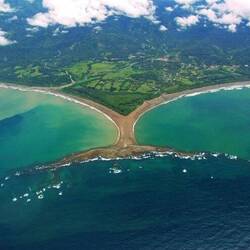 "Walflosse" (Cola de la Ballena)