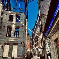 Rottermann City 1.0.