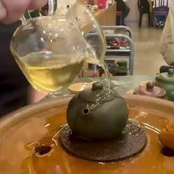 Sharing Tea with my friend 🐢
