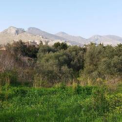 Mein Ziel für Übermorgen 🤔👍