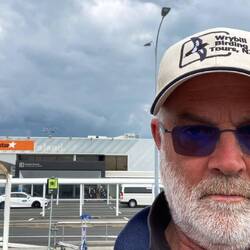 Advertising Wrybill Tours at Auckland