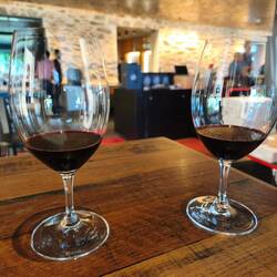 2023 Bin 28 Shiraz und 2023 Bin 389 Cabernet/Shiraz