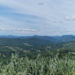 Aussichtspunkt an der Grenze von Queensland nach New South Wales