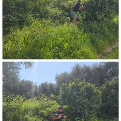 Zwischendurch mal ein paar Orangen 🍊 "gekauft" 😉