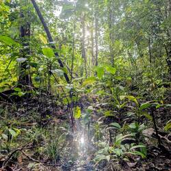 Ein kleines bisschen Sonne am Abend