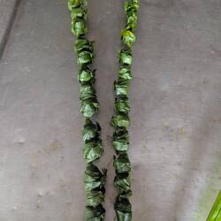 Palmblätter mit Nüssen