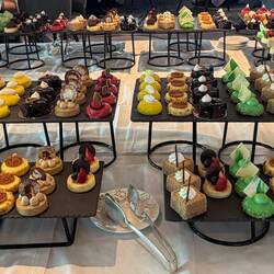 Yes, these are all cheesecakes!