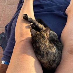 Für Birdie ist alles wieder gut