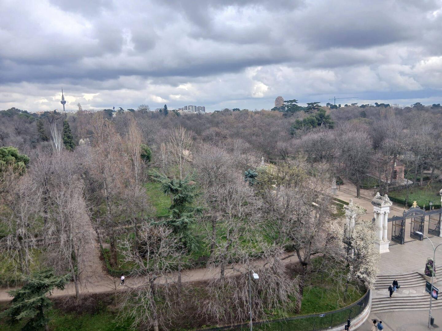 View of Retiro park from hotel room