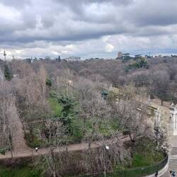 View of Retiro park from hotel room