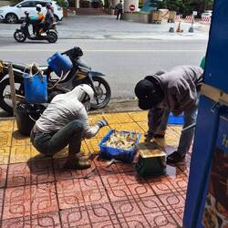 Frisch Fisch Lieferservice