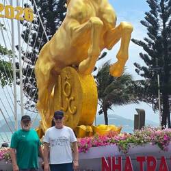 2026 ist das Jahr des Pferdes