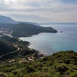 Blick zurück - wer findet Milo und Dusty?