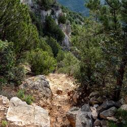 Trittsicher sollte man schon sein 😉