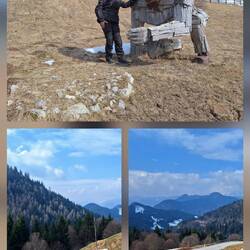 Holz-Kunst, bitte nicht darauf herumklettern 😉