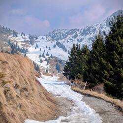 Hier beginnt die MTB Strecke😜