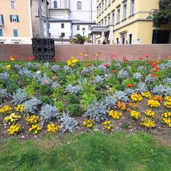 Es blüht schon einiges ...