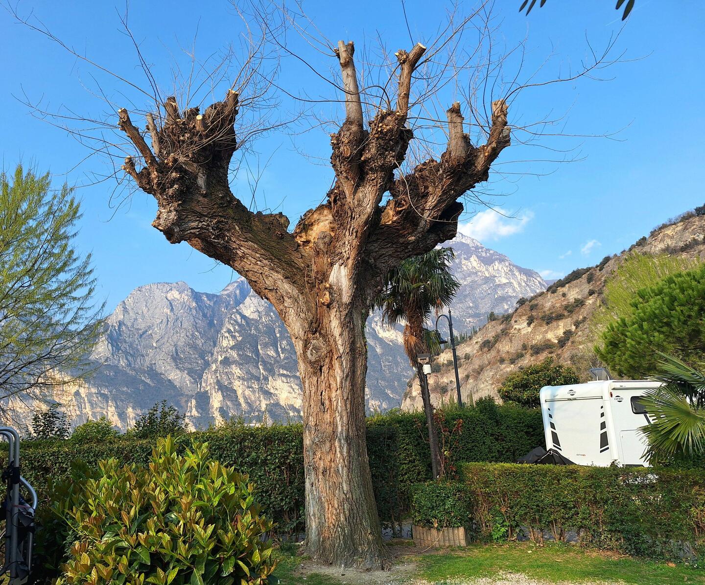 Panoramablick zum Frühstück
