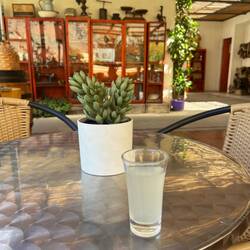 Erstmal ein Shot Pisco Sour zur Begrüßung