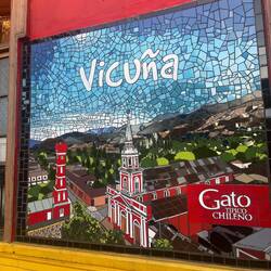 Erster Stopp: Vicuña