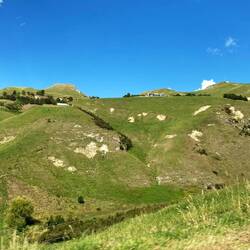 Severely overgrazed and erosion visible