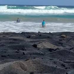 Die Wellen waren schon noch gross...