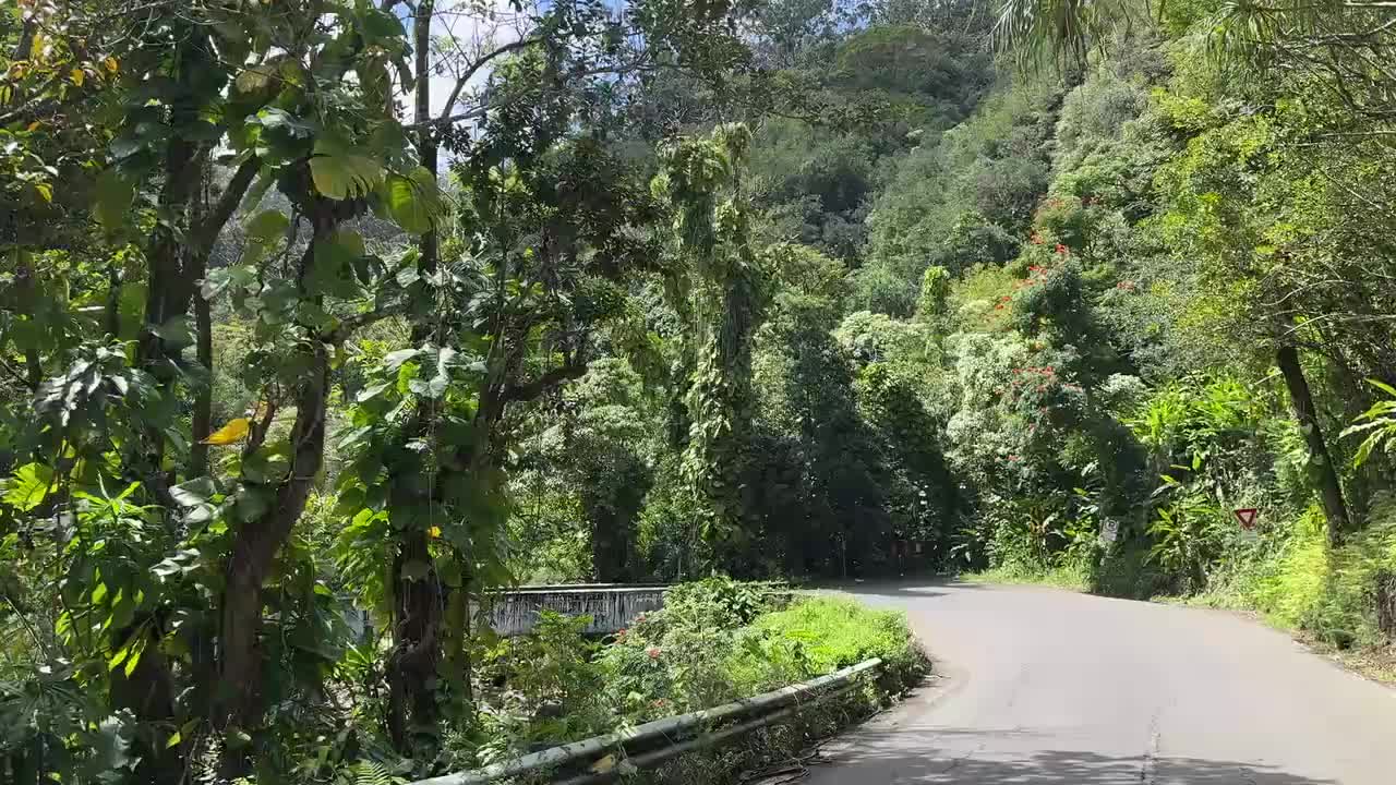 On the Road to Hana