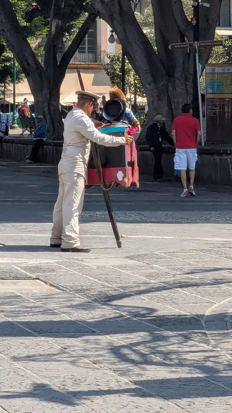 Organ grinder with a stuffed monkey.