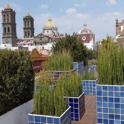 Lunch on the Amparo Museum rooftop