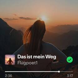 Mein Song - Spotify ❤️
