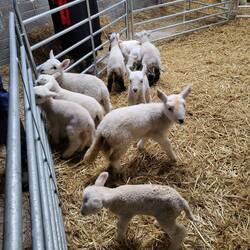 Einfach zum Knuddeln 🥹