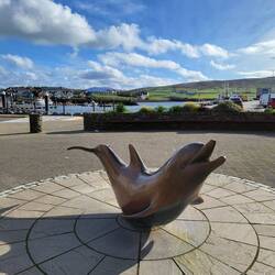 Fungie der Delfin aus der Dingle Bucht