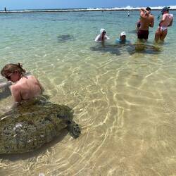They sell greens for people to feed them