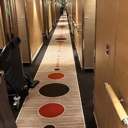 I' am Walking . Forest lauf